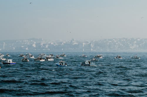 Free Photo of Motorboats on the Sea Stock Photo