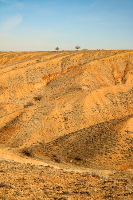 A breathtaking view of arid desert dunes with sparse vegetation beneath a clear blue sky.