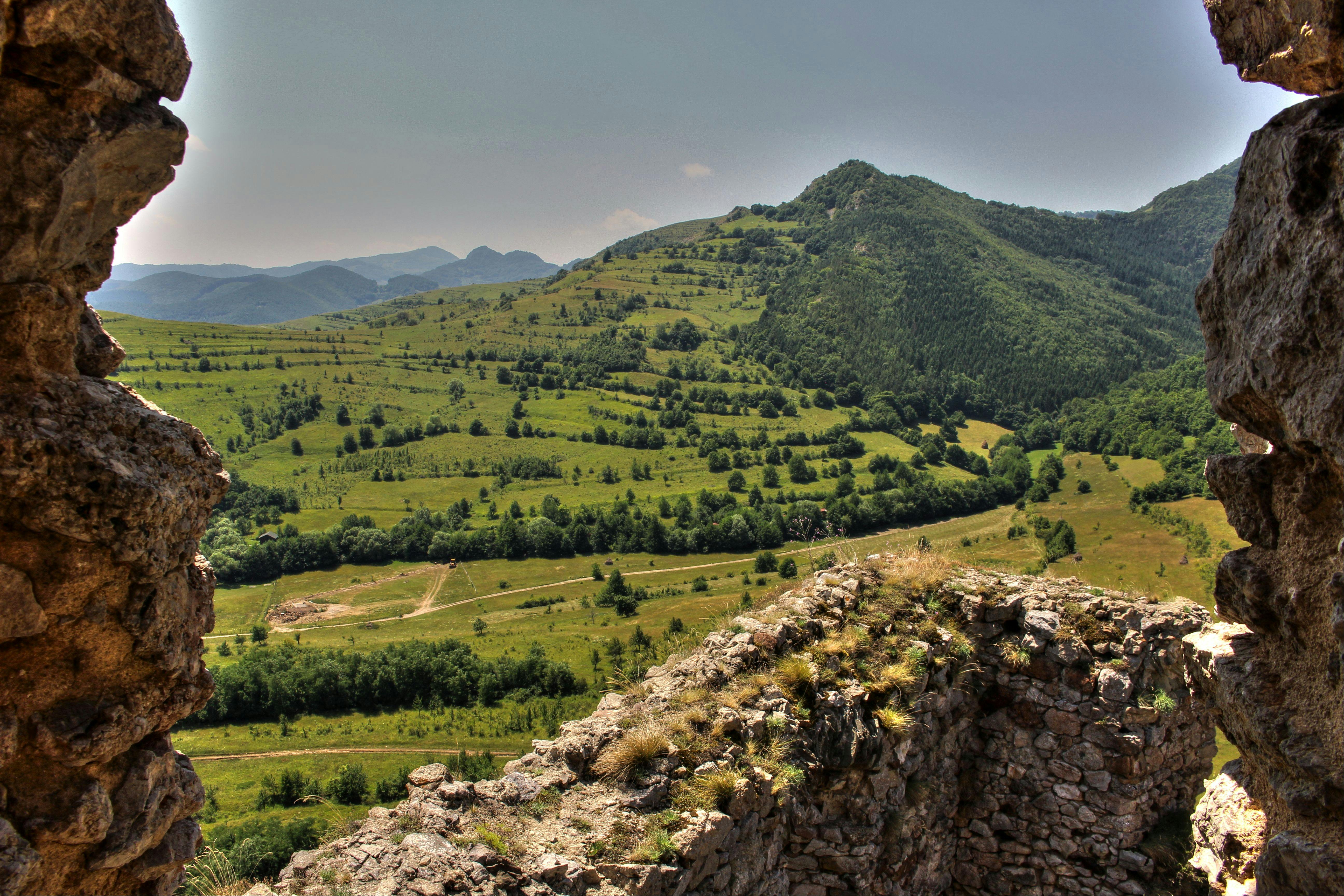 Pão de Queijo brasileiro fresco