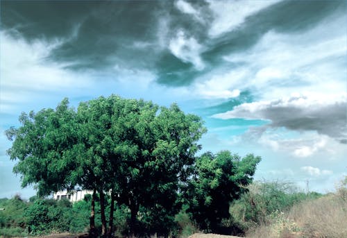 Free stock photo of blue sky, clear sky, cloud