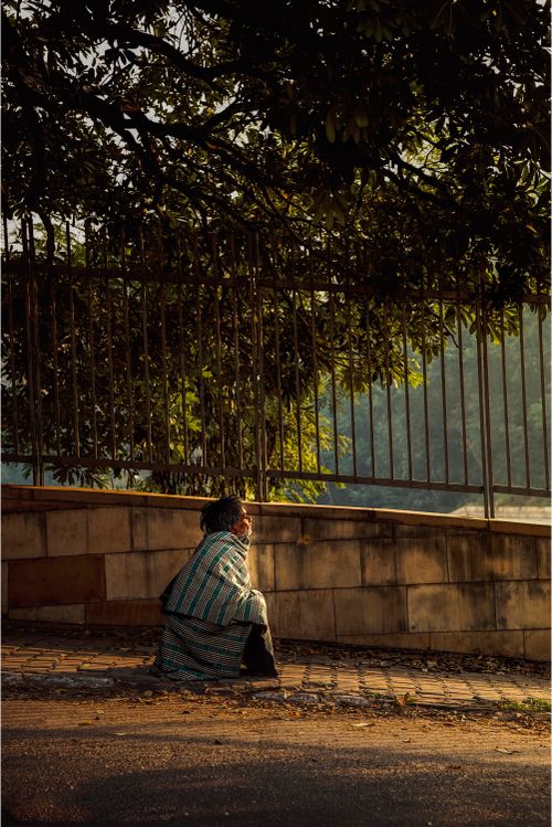 Free Person wrapped in cloth sitting on sidewalk by a fence with overhanging leaves. Stock Photo
