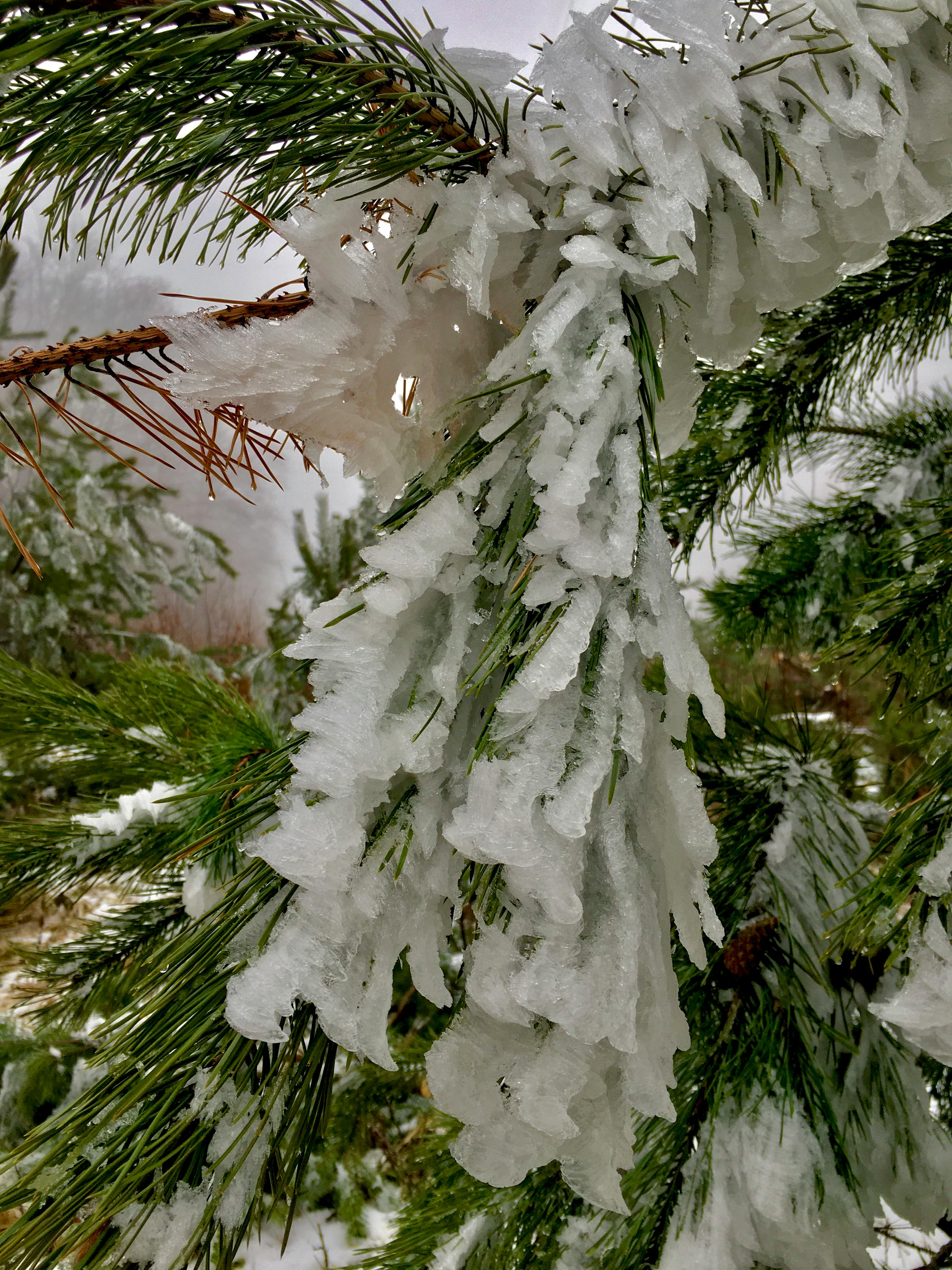 Free stock photo of aesthetic wallpaper, background wallpaper, beautiful wallpaper by Sun Pixel Photography