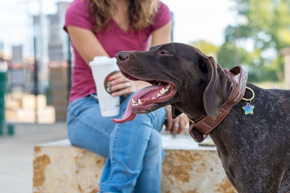Relaxed woman with a playful dog and coffee cup outdoors in sunny weather.