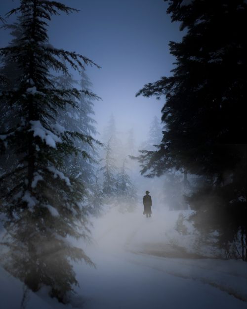 Free A mysterious figure walks through a snowy, fog-filled woodland at twilight, evoking a sense of eerie mystery. Stock Photo