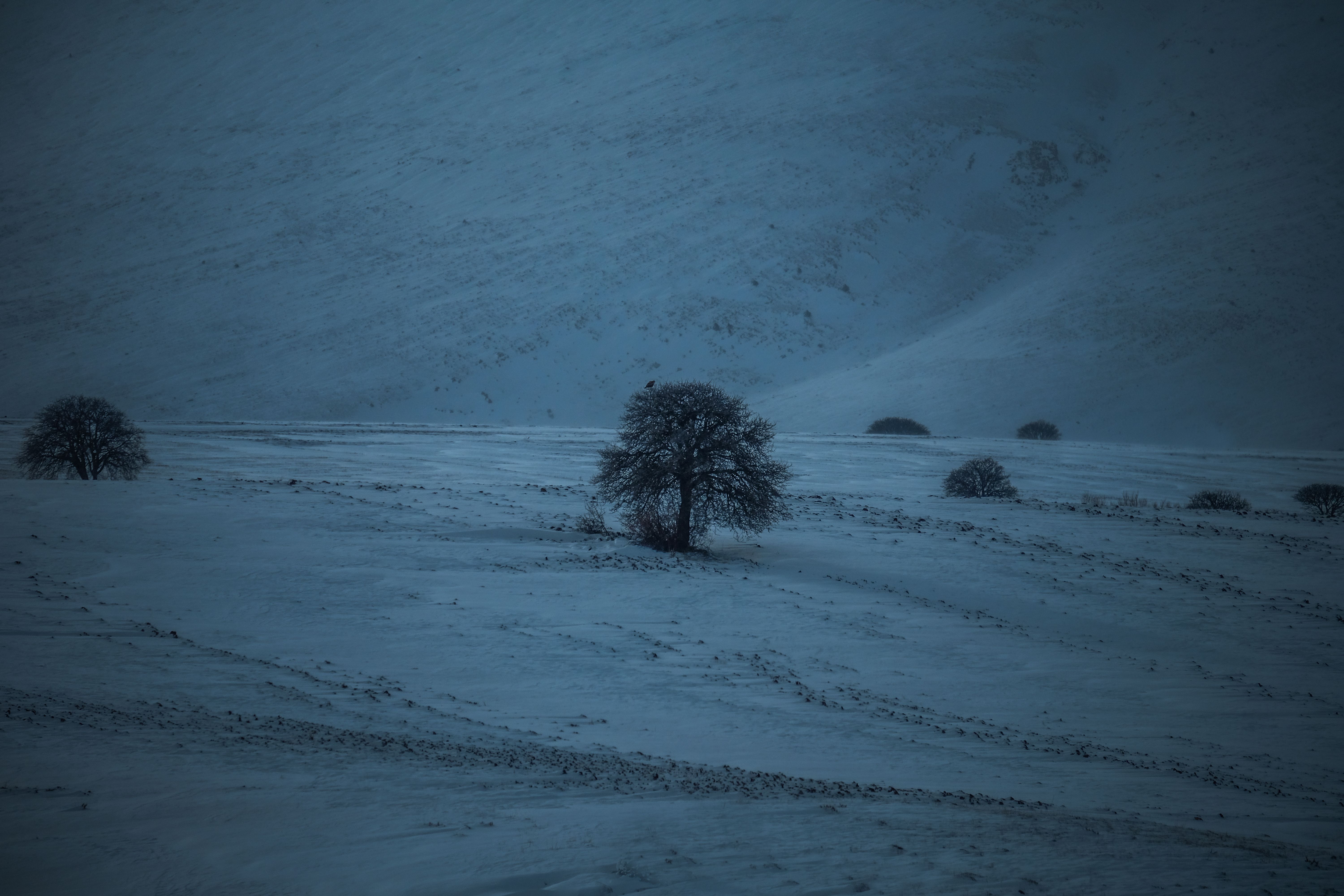 Photo by akın  akdağ on pexels