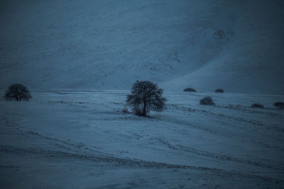 Photo by akın akdağ on pexels