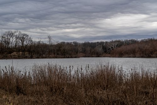 Free Tranquil river scene with bare trees and overcast sky during winter. Stock Photo