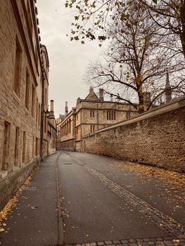 Cobblestone street with fallen leaves in historic Oxford, England during fall.
