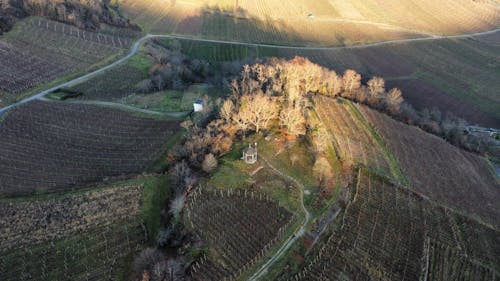 Kostenloses Stock Foto zu acker, bauernhof, felder