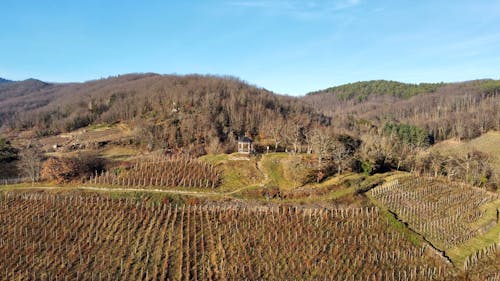 Základová fotografie zdarma na téma čisté nebe, kopce, krajina