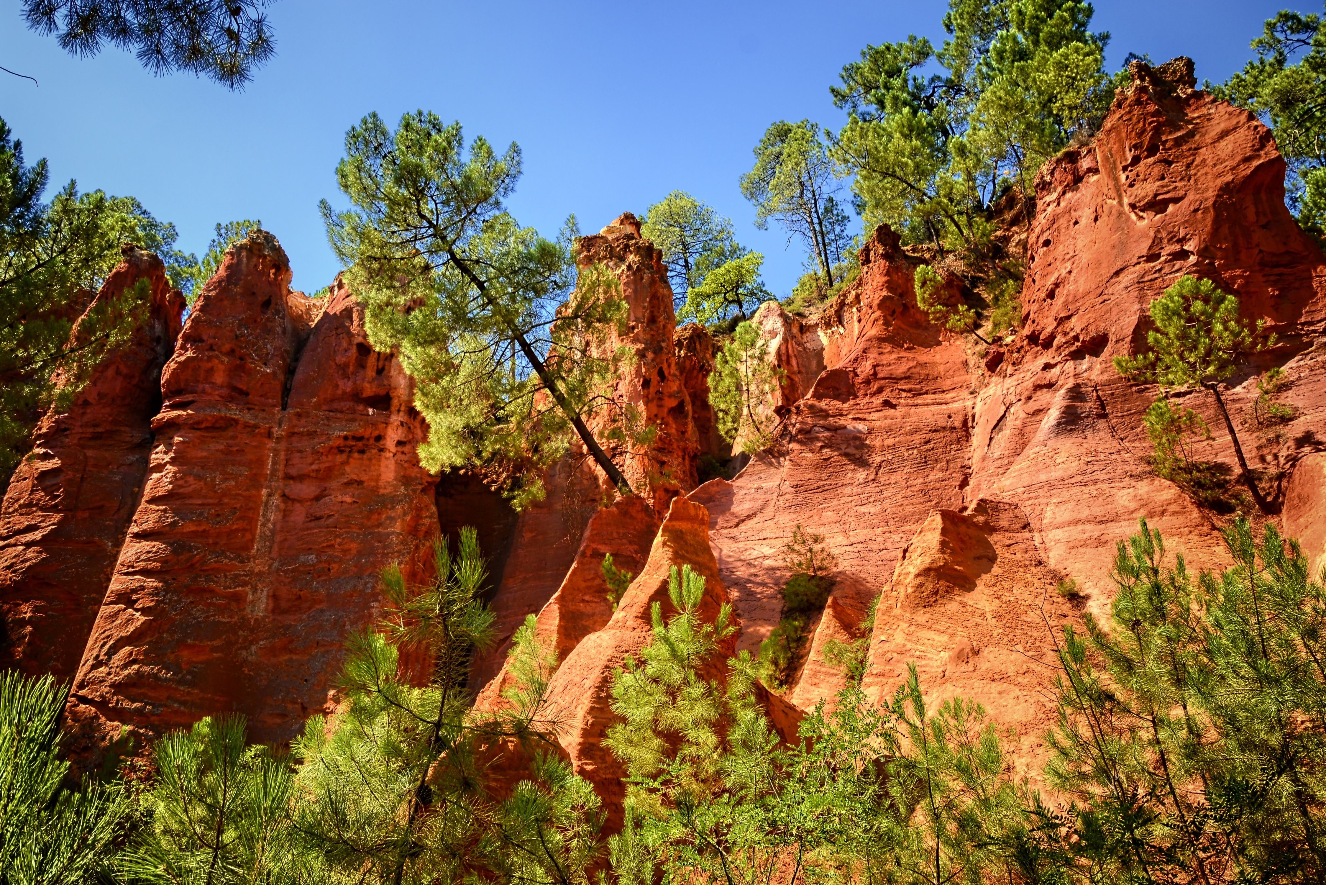 Pinares de Rodeno Natural Park