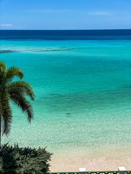 Stunning view of a tropical beach with vibrant turquoise waters and lush palm trees.