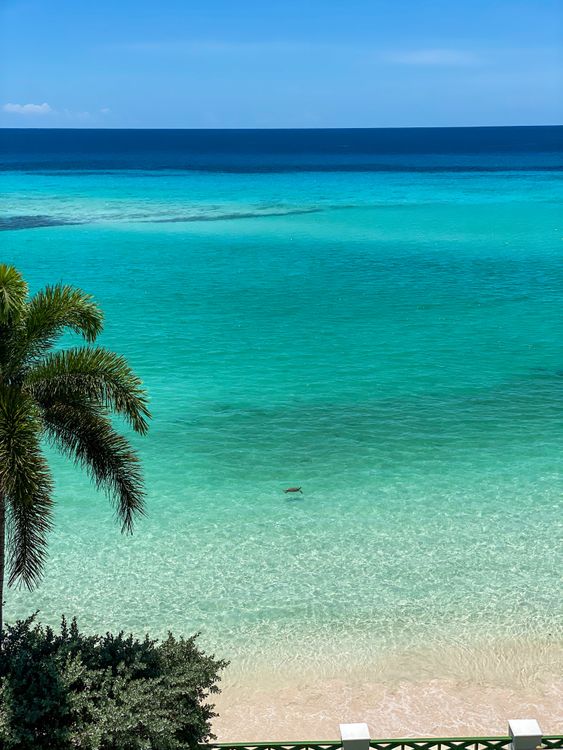 Photo of Sea Under Blue Sky · Free Stock Photo