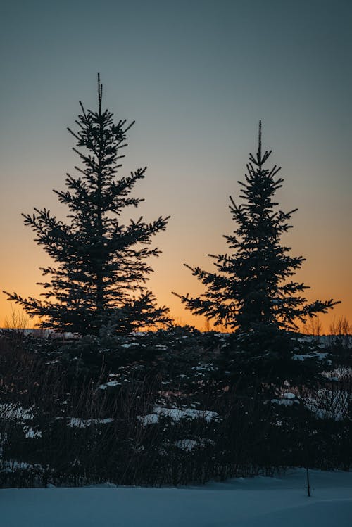 Gratis lagerfoto af himmel, is, lodret skud