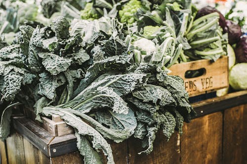 Free Green Vegetables Stock Photo