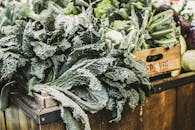 Green Vegetables
