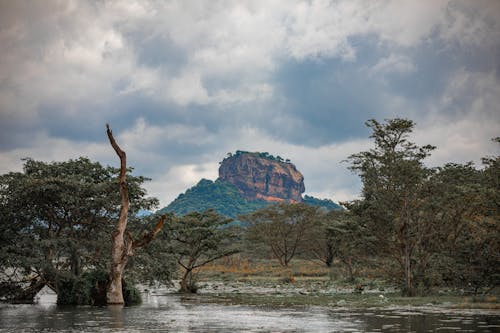 Kostenloses Stock Foto zu bäume, felsformation, landschaft