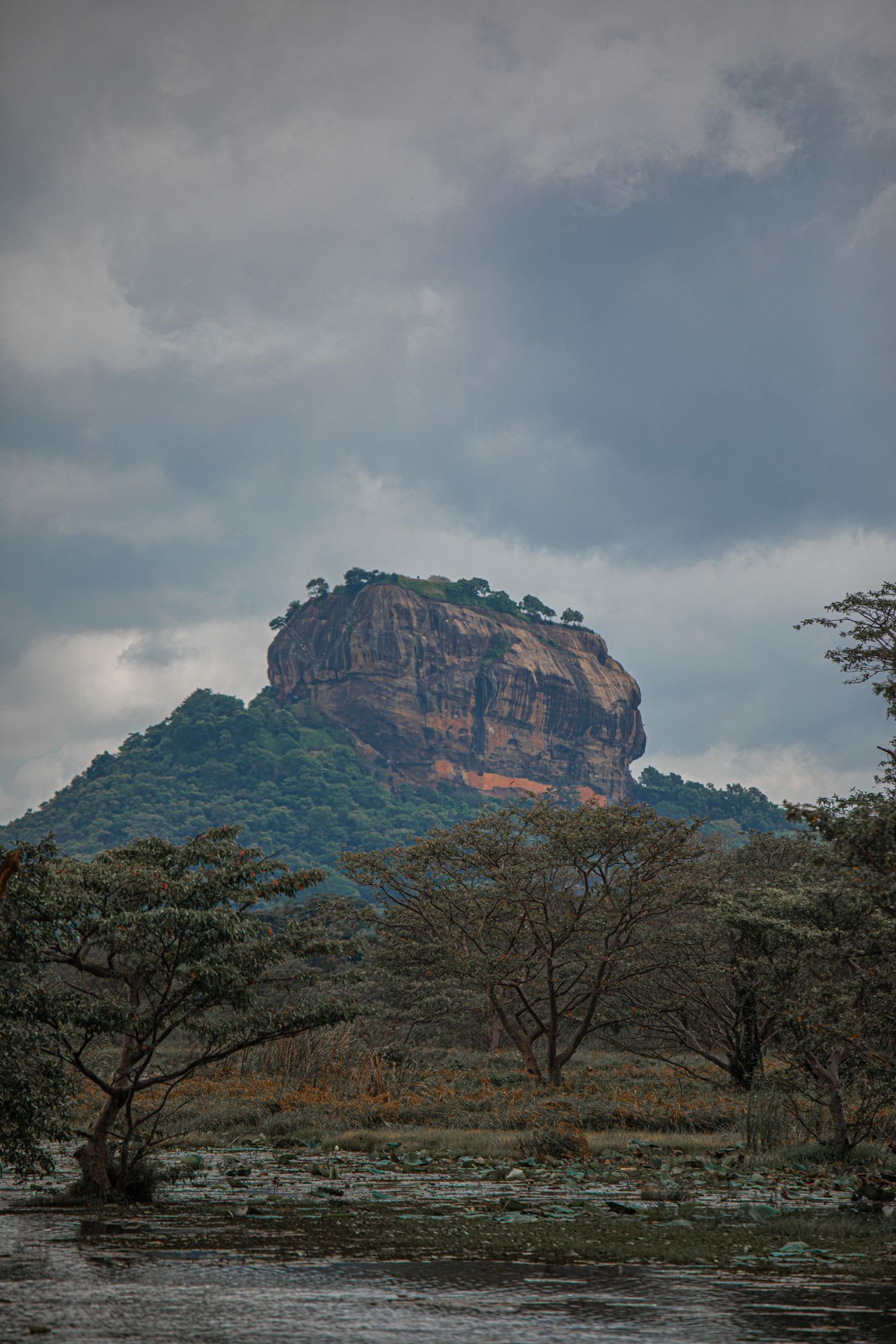 Sigiriya rock fortress rising above the Sri Lankan landscape