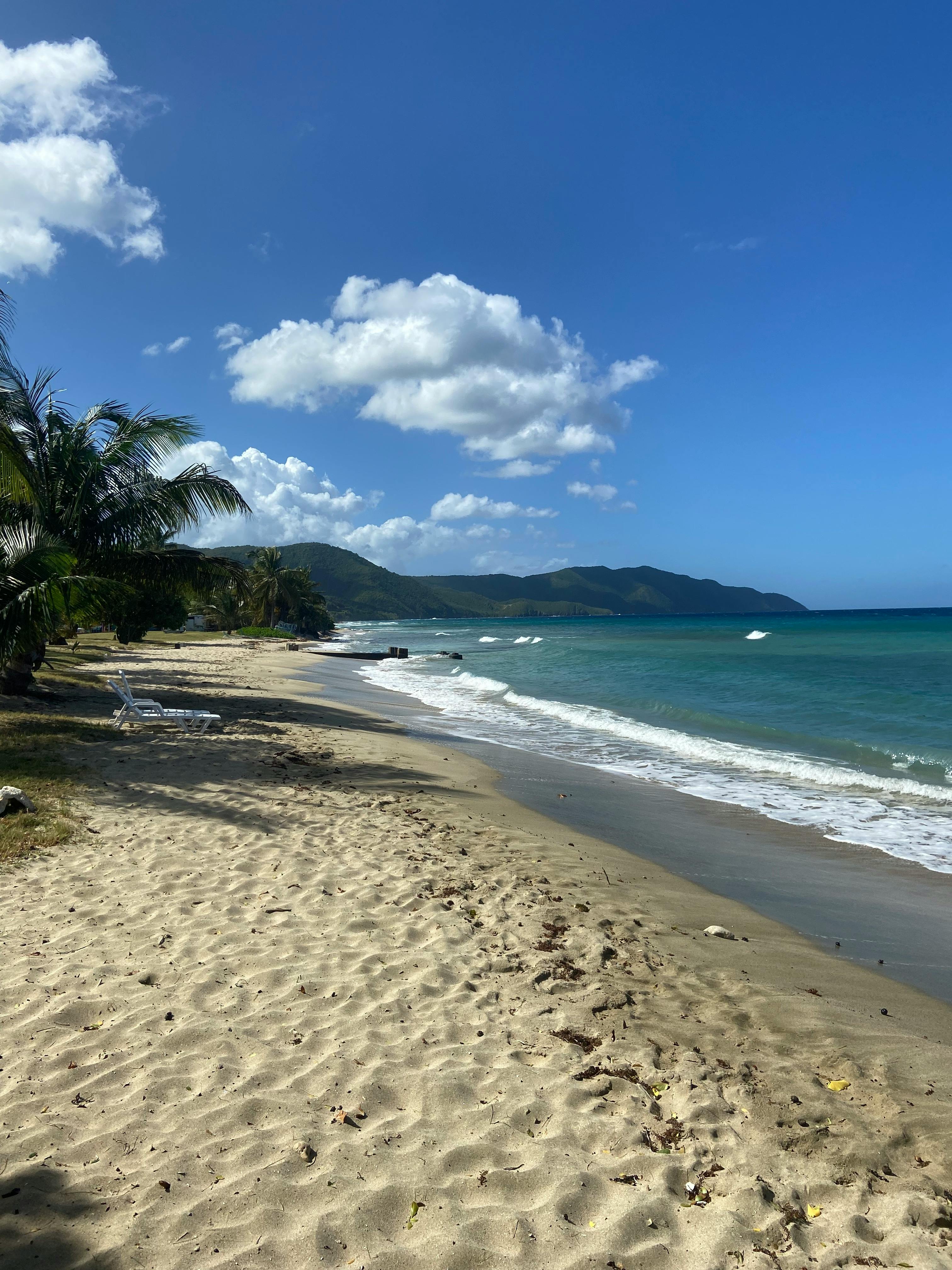 Beach Under Blue Sky · Free Stock Photo