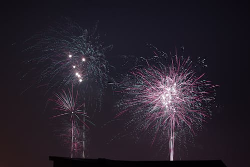 Imagine de stoc gratuită din afișaj, focuri de artificii, noaptea
