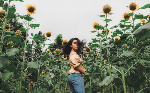 Free A Woman in Yellow Crop Top and Blue Denim Jeans Standing on Sunflower Field Stock Photo
