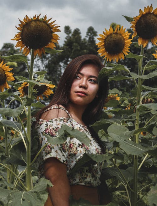 Woman Standing Near Sunflowers