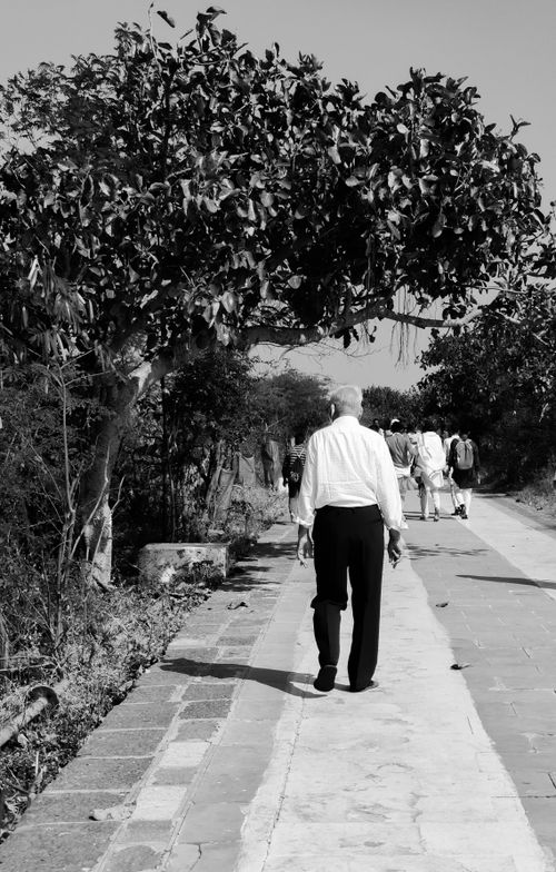 Free A monochrome image of people walking along a tree-lined pathway in Palitana, India. Stock Photo