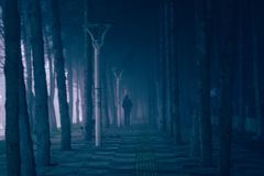 A foggy night scene with a lone person walking on a tree-lined path illuminated by street lamps.
