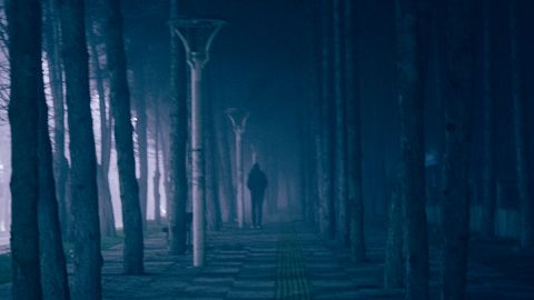 A foggy night scene with a lone person walking on a tree-lined path illuminated by street lamps.