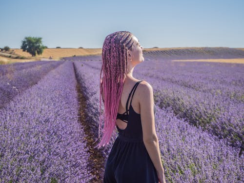 Free Woman in Black Spaghetti Strap Dress Standing on Purple Flower Field Stock Photo