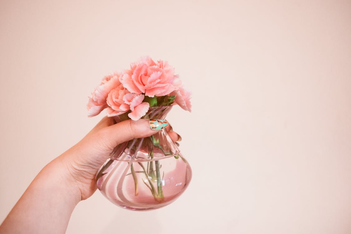 Person Holding Clear Glass Flower Vase With Pink Flowers