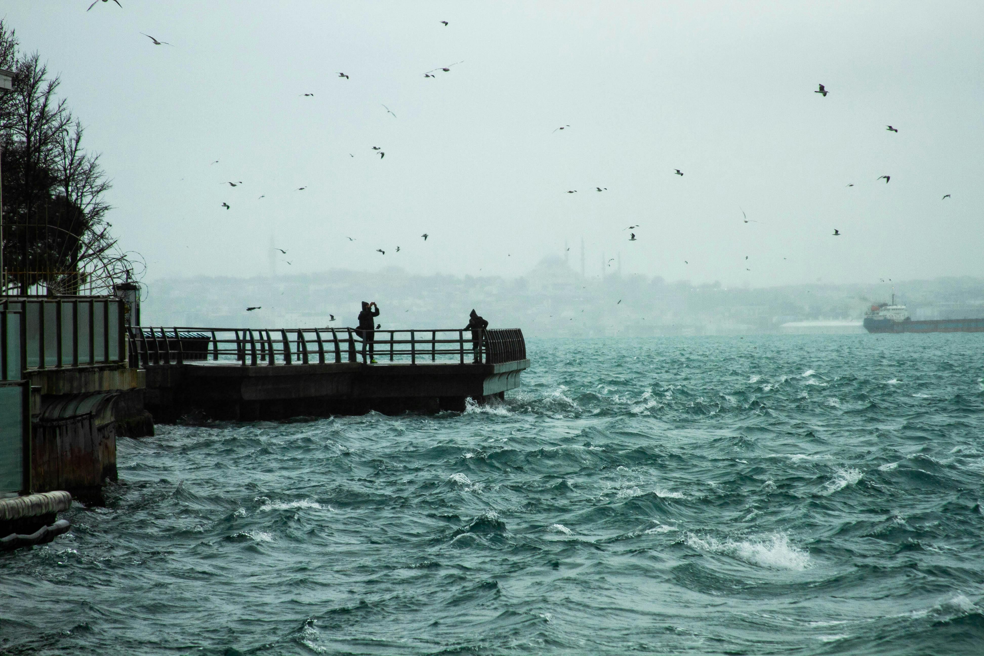 A More Troubling Picture of Sea Level Rise Is Coming into View — Photo by serhat erdogan on Pexels