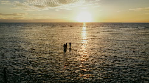 Silhouette of People Standing on Sea Water during Sunset