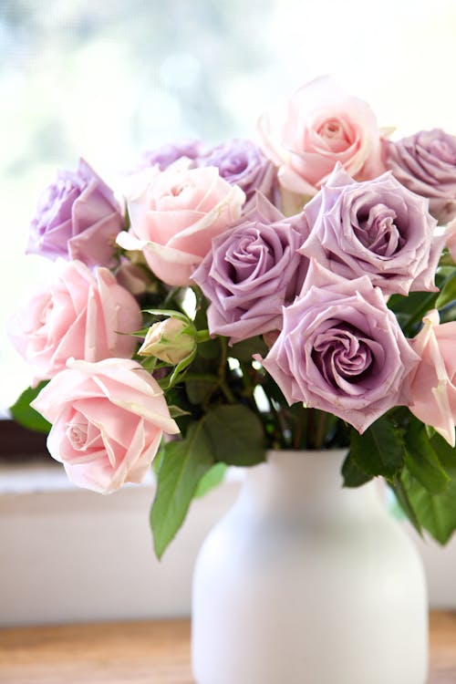 Free Photos gratuites de bouquet de fleurs, bouquet de roses, fermer Stock Photo