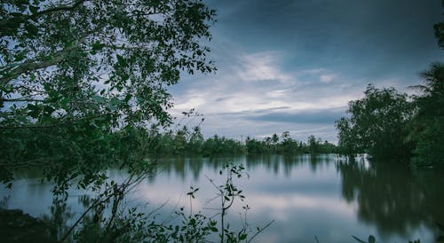 Základová fotografie zdarma na téma idylický, jezero, klidné vody