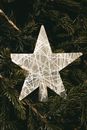 White Star Ornament on Green Christmas Tree