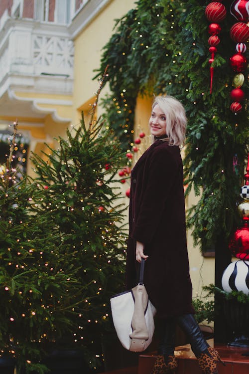 Foto profissional grátis de alforje, árvore de Natal, decorações de Natal