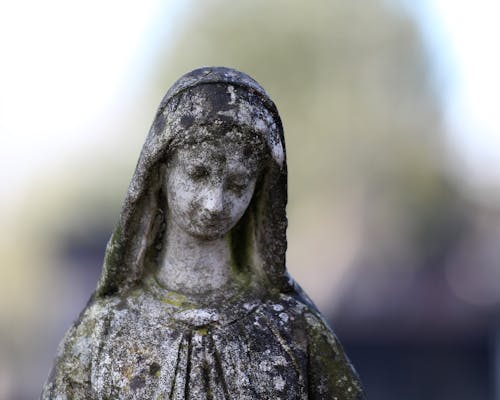 Gratis lagerfoto af jomfru maria, katolicisme, sløret baggrund