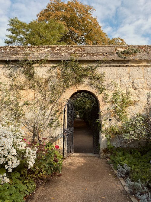 Gate into Secret Garden 