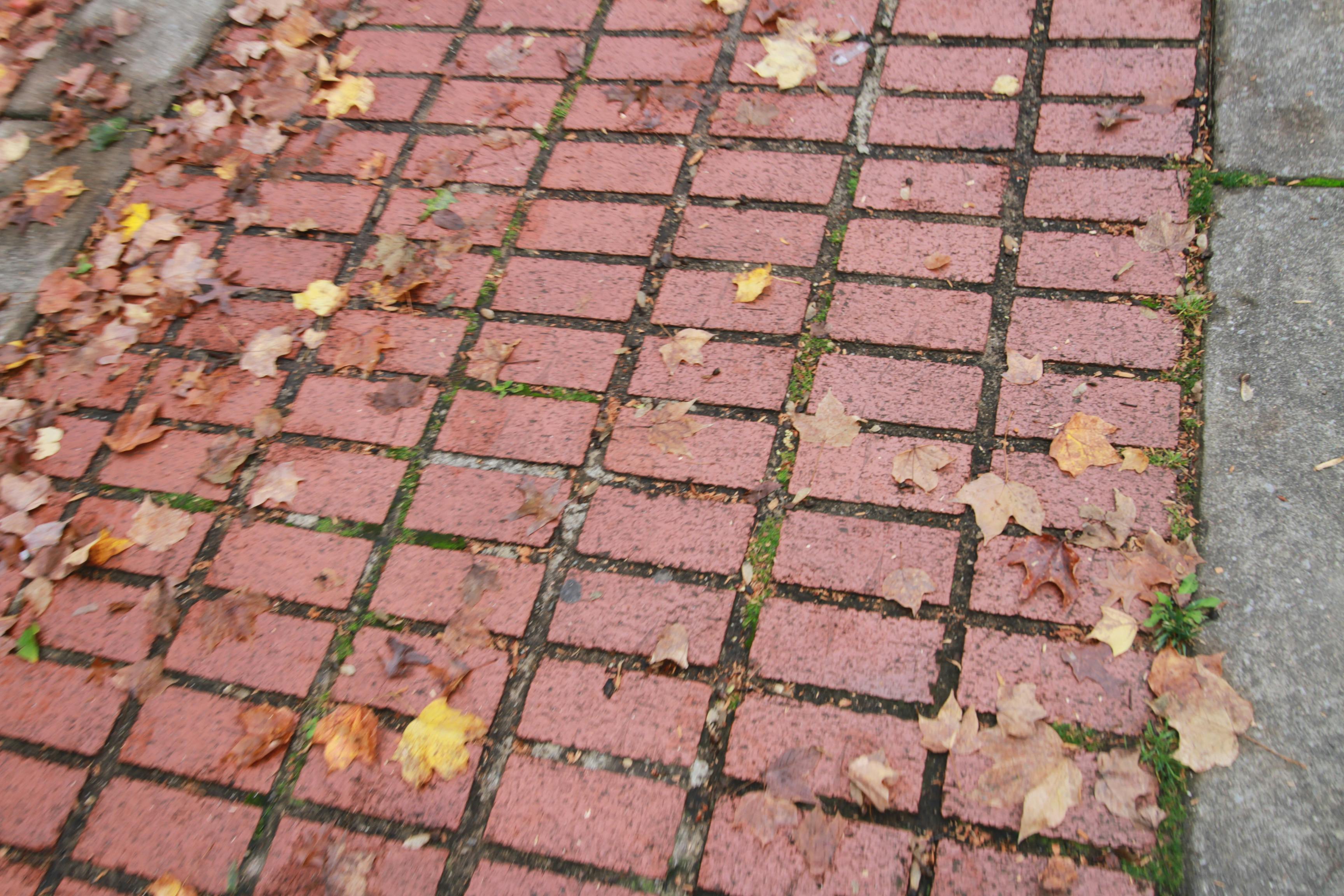 Free stock photo of brick road, bricks, masonry