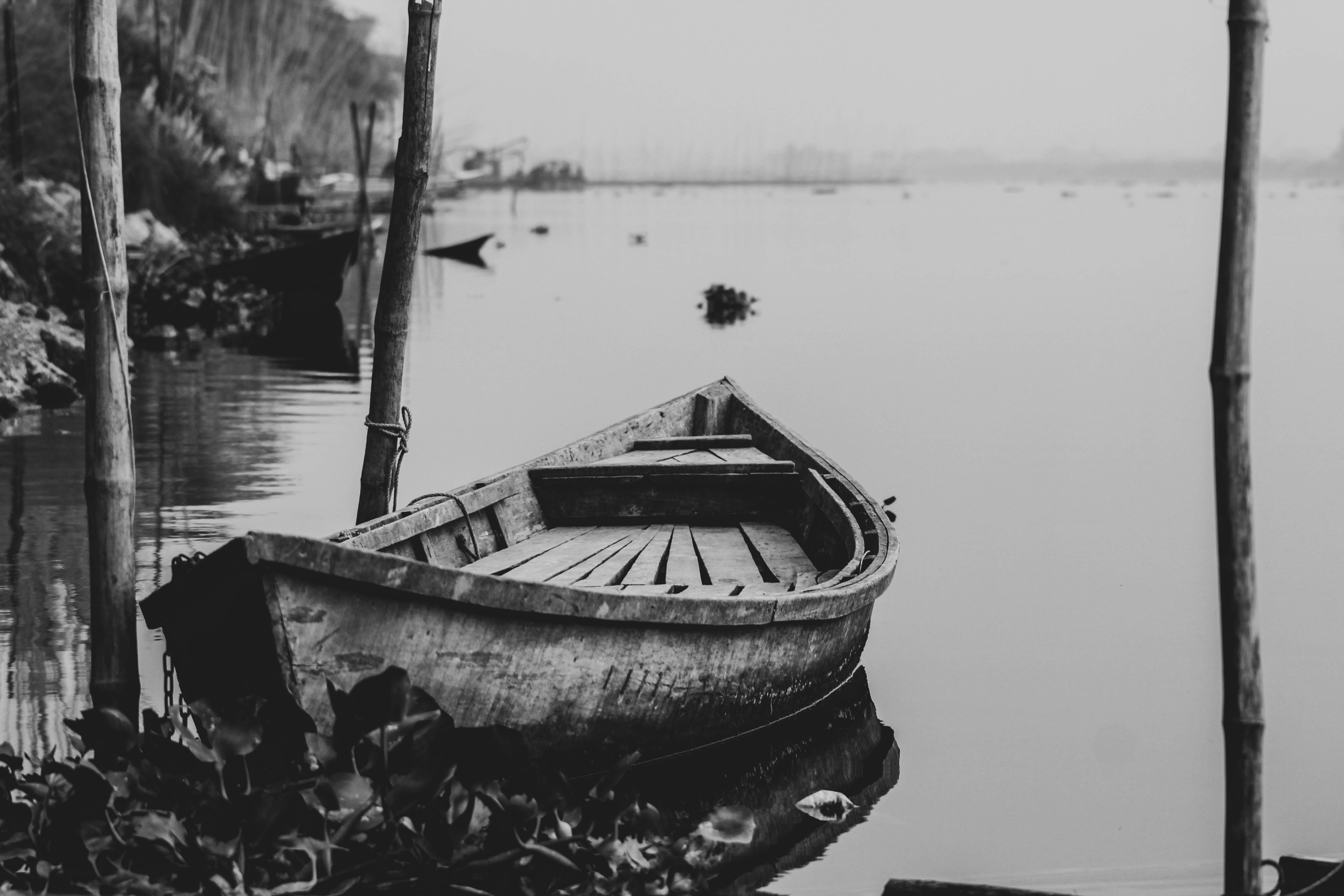 White Boats on Body of Water · Free Stock Photo