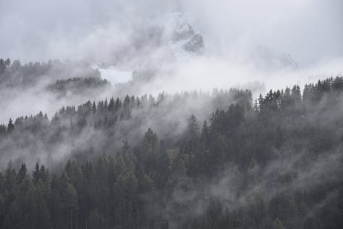 Aerial View of Mountains Covered in Trees in Dense Fog and Clouds in Winter 