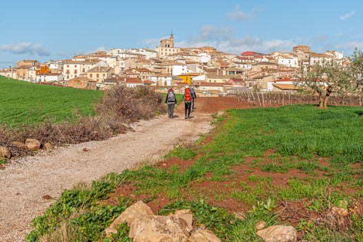 camino