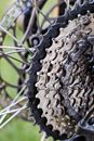 Black Metal Chain Link Fence