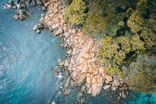 Foto d'estoc gratuïta de a l'aire lliure, aeri, arbres