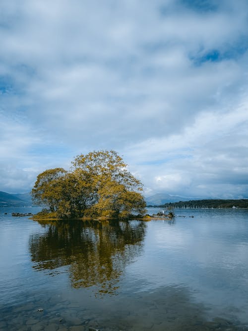 Foto profissional grátis de água, árvores, azul