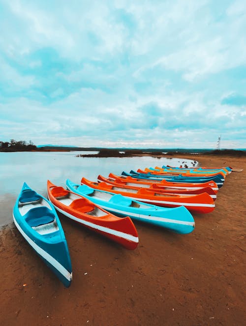 คลังภาพถ่ายฟรี ของ ชายหาด, ทรายสีน้ำตาล, ทะเล