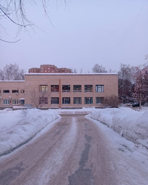 Snow-cleared Road Leading to a Building 