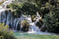 Green Trees Beside River