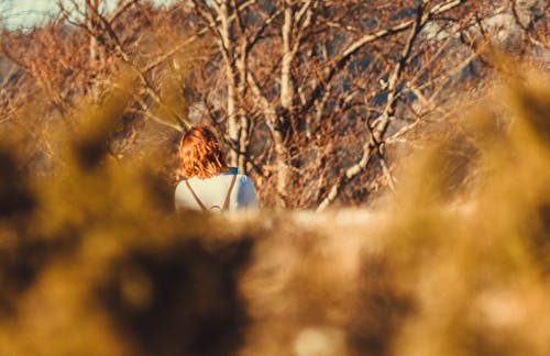 ahşap, güz, kızıl saç içeren Ücretsiz stok fotoğraf